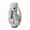 hand painted golf bag