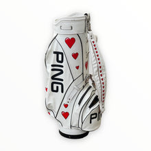  hand painted golf bag